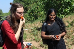 Solmogen, organsk tomat! Kristina, praktikant på DDS och Ranjanoyeki, programkoordinator hos Women's Collective