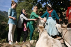 Dadi Asha styr upp kossornas fest. Från vänster: Fanny, Karin, Caroline, Linnea, chacha Devi, dadi Asha, didi Kala. Bild tagen av Varun