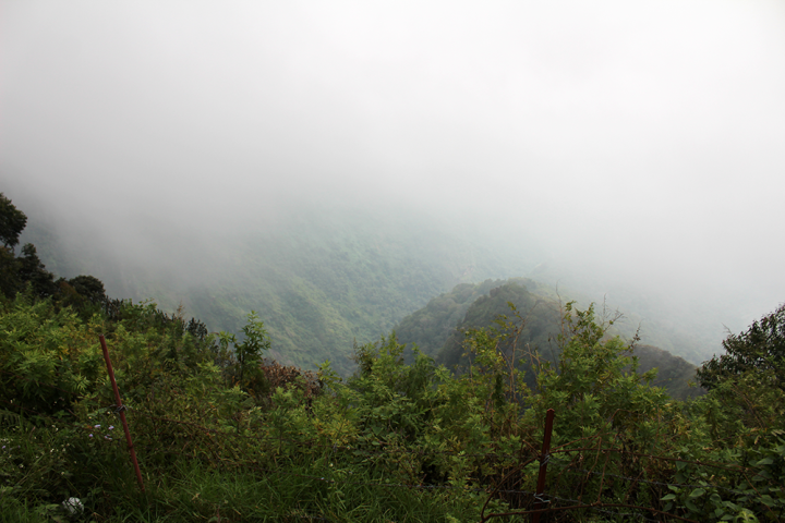 Diwali, bergen och ett förlorat paraply